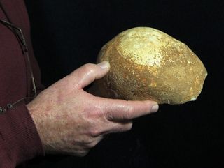 Ancient Skull Fragment
