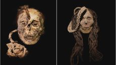 Two trophy heads, one of a child and one of a woman.