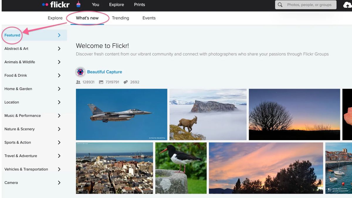 The Flickr Discover screen is shown with circles around What&#039;s New and Featured