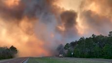Wildfire rages in Florida