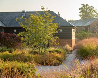 naturalistic planting using grasses in design by Bowles & Wyer