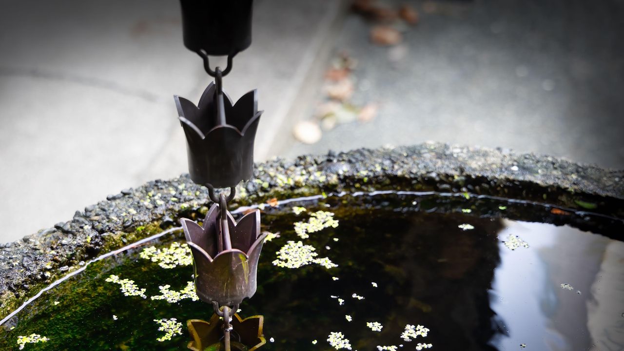 Rain chain anchored in a decorative pool of water