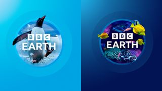 BBC Earth logo redesign featuring a penguin and a school of colourful fish