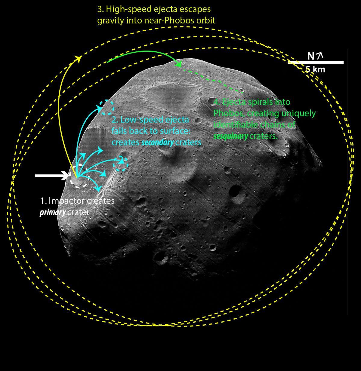 Weird Grooves On Mars' Moon Phobos Traced To Asteroids | Space