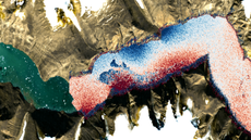 Copernicus Sentinel-2 satellite image of the Dickson Fjord in East Greenland with the observed sea-surface height measurements from the SWOT satellite of the Earth-shaking wave on October 11th overlaid.