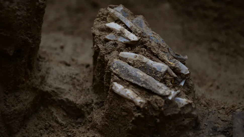 30,000-year-old 'personal toolkit'found in the Czech Republic provides'very rare' glimpse into the life of a Stone Age hunter-gatherer