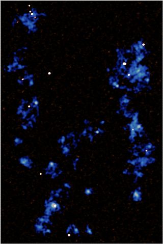 Map showing gas filaments of the cosmic web (blue) running from the top to the bottom of the image, detected using the MUSE instrument at the Very Large Telescope. The white dots embedded within these filaments are very active star forming galaxies which are being fed by the filaments, and which are detected using the Atacama Large Millimeter/submillimeter array.