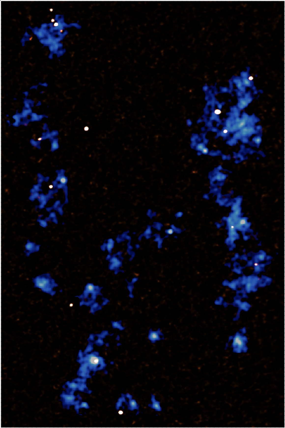 Map showing gas filaments of the cosmic web (blue) running from the top to the bottom of the image, detected using the MUSE instrument at the Very Large Telescope. The white dots embedded within these filaments are very active star forming galaxies which are being fed by the filaments, and which are detected using the Atacama Large Millimeter/submillimeter array.