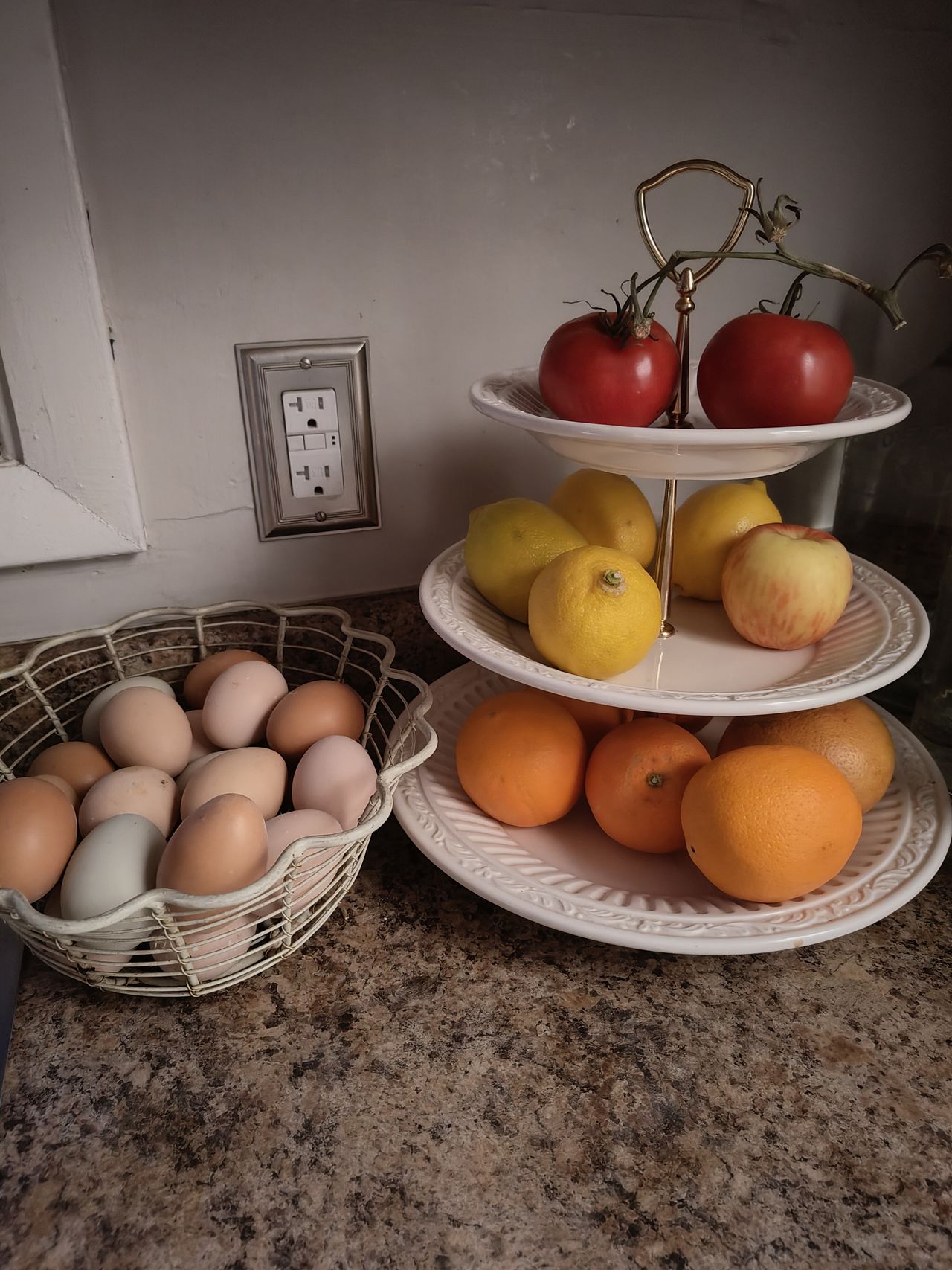 Camera samples from the Nothing Phone (2)