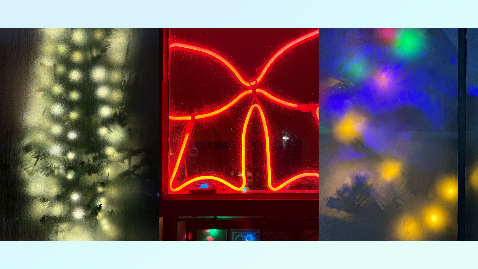 Three photos showing off macro and portrait modes