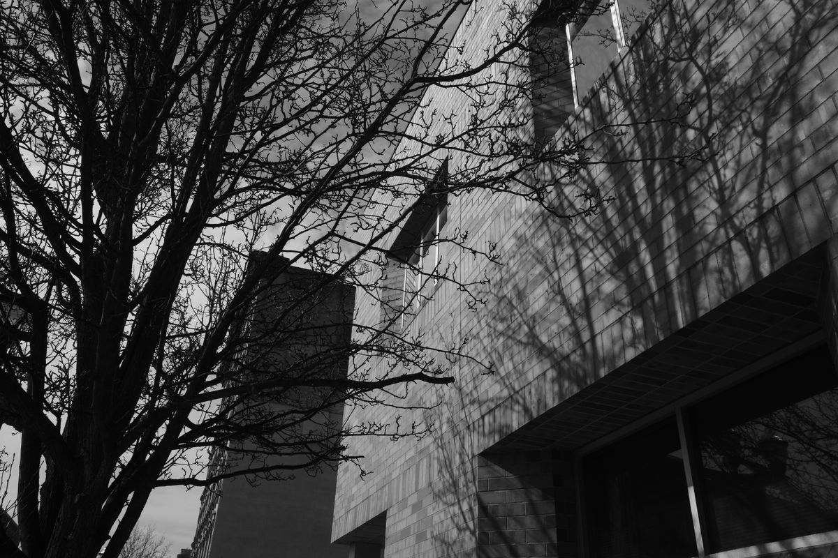 A sample image taken with the Ricoh GR IV Monochrome