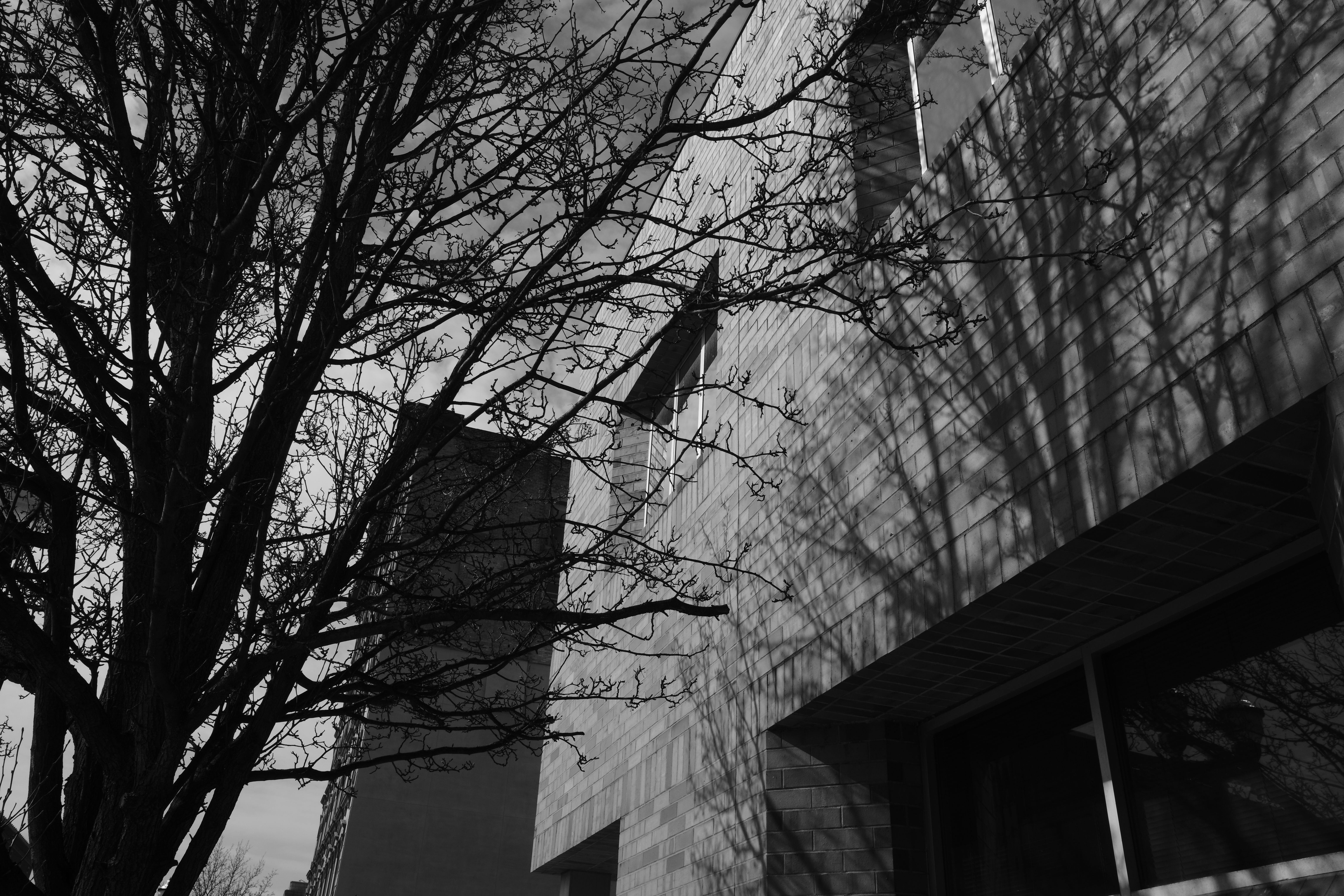 A sample image taken with the Ricoh GR IV Monochrome