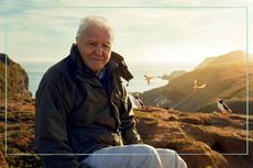 Wild Isles with Sir David Attenborough
