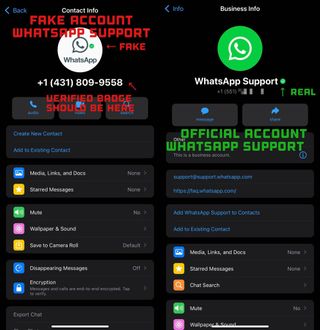 Whatsapp Fake Support Account Screenshot