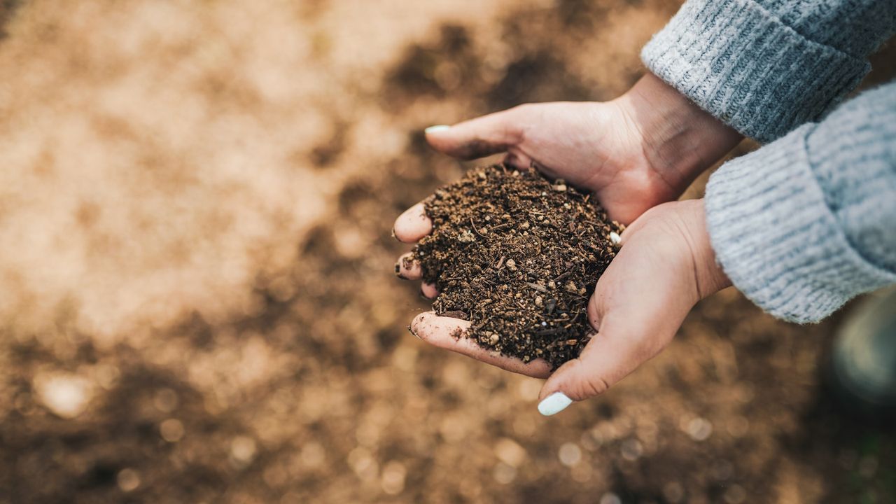 Hands holding fresh compost soil