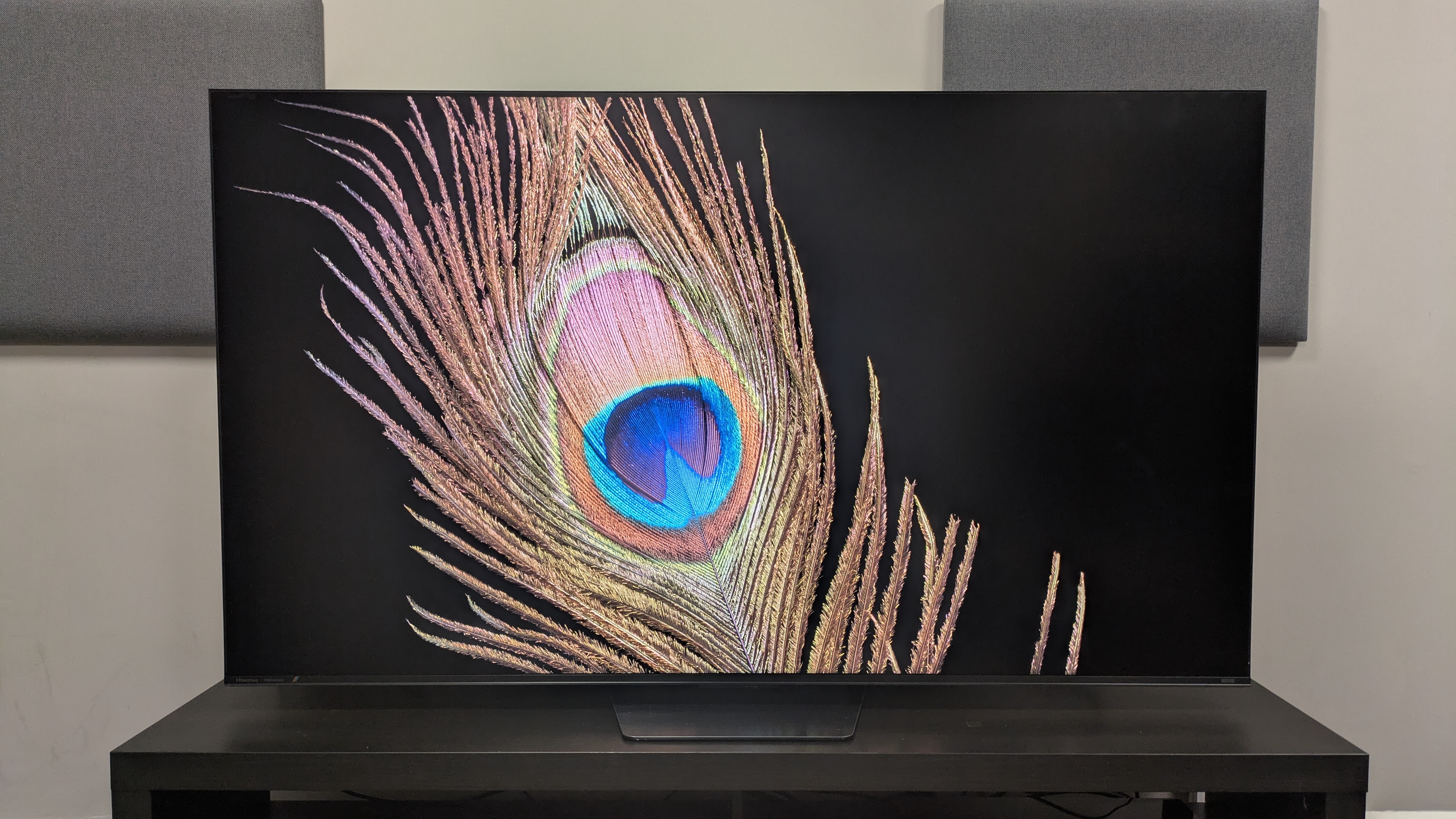 Hisense UR8 with peacock feather on screen. Image has good detail and brightness while handling reflection well
