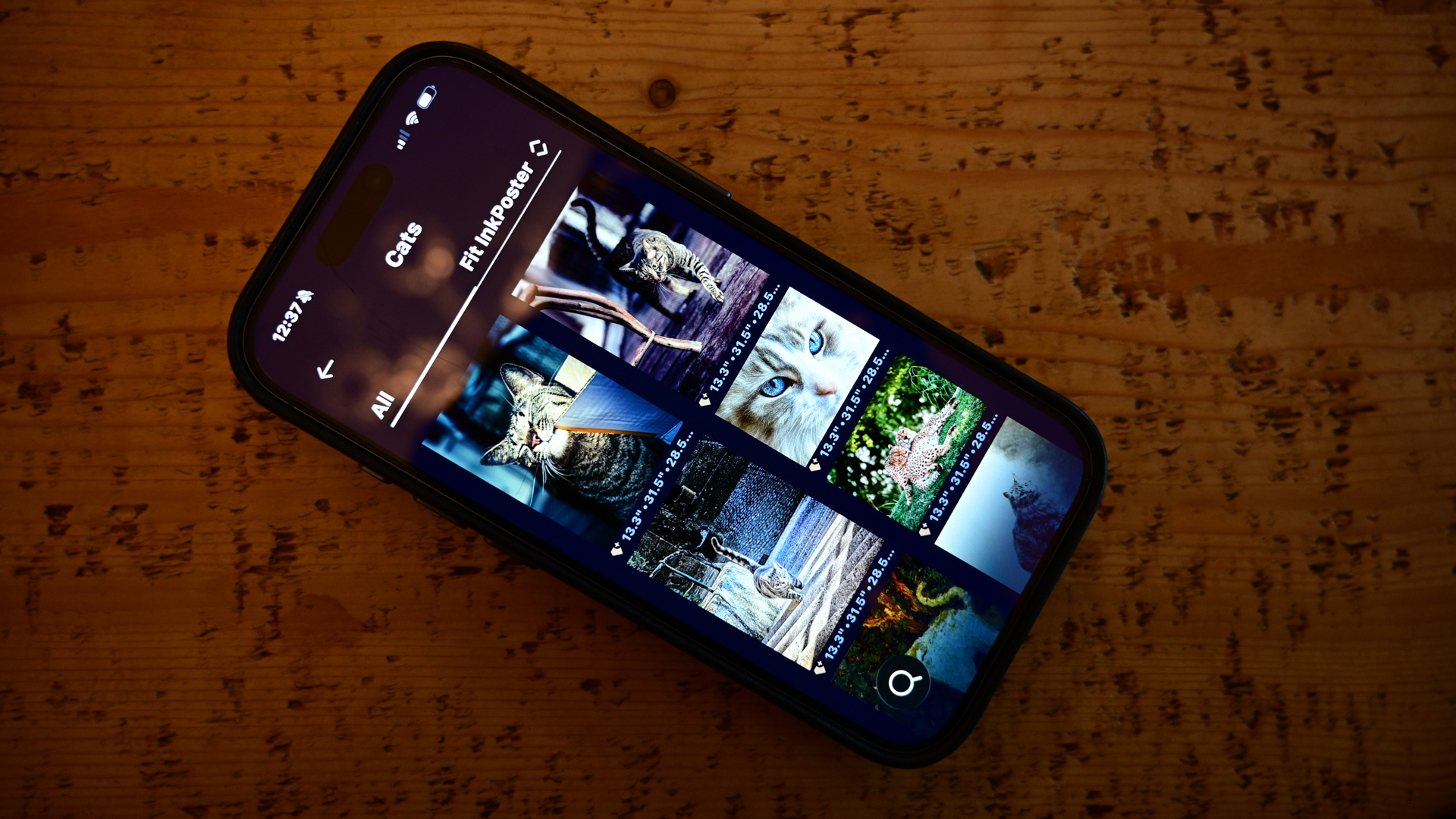 InkPoster Tela 28.5" frame showing in-app search