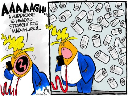 Political Cartoon U.S. Hurricane Dorian Mar A Lago Trump Paper Towels