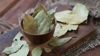Dried bay leaves in a bowl