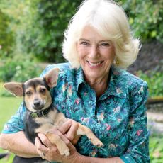 Queen Camilla and her rescue puppy Moley from Battersea Dog and Cats Home, of which she is patron, pose for a portrait in the garden of her home Ray Mill House in the village of Lacock in July, 2025 in Wiltshire, England