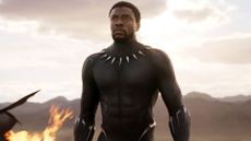 T'Challa walks towards Killmonger and his men after downing an enemy ship in 2018's Black Panther film