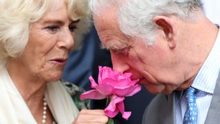 Prince Charles, Prince of Wales smells a rose offered to him by Camilla, Duchess of Cornwall during a visit to Nice Flower Market on May 9, 2018 in Nice, France. Prince Charles, Prince of Wales and Camilla, Duchess of Cornwall are on a two day Royal tour to France which will then be followed by a three day visit to Greece.