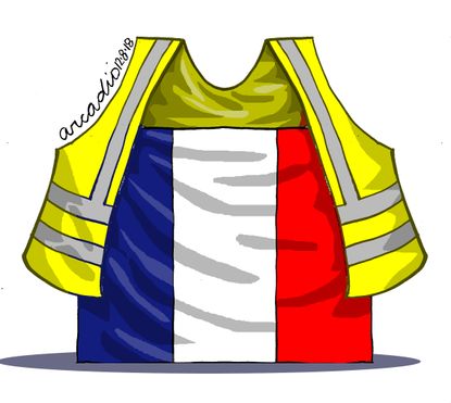 World Emmanuel Macron yellow vest carbon tax protest