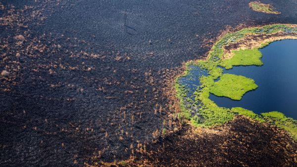 Siberian wildfires dwarf all others on Earth combined