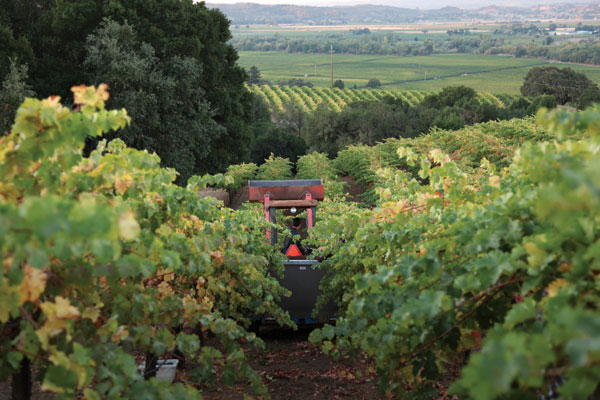 000007ea8-2010_Jordan_Vineyards_Tractor_HR.jpg