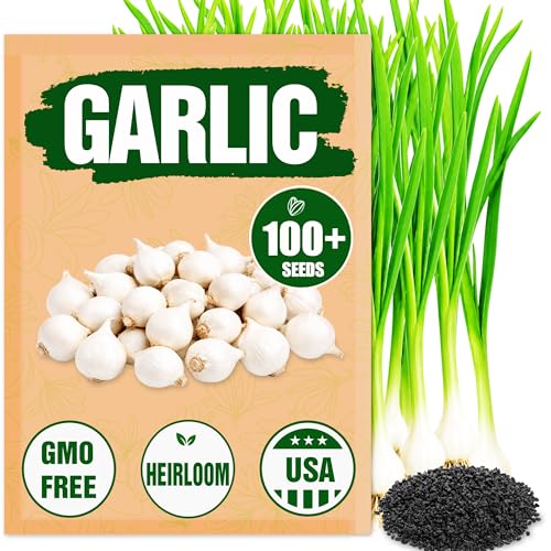 Garlic Seeds for Planting (allium Sativum) - 100+ Heirloom Non-Gmo - Easy-Grow Culinary Herb &amp;ndash; Robust Flavor, Cold-Hardy, Perennial Vegetable for Home Gardens