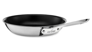 All-Clad 4110 NS R2 Stainless Steel Frying Pan