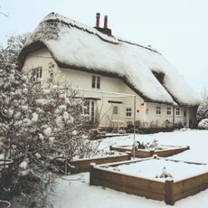 A snow-covered garden and house