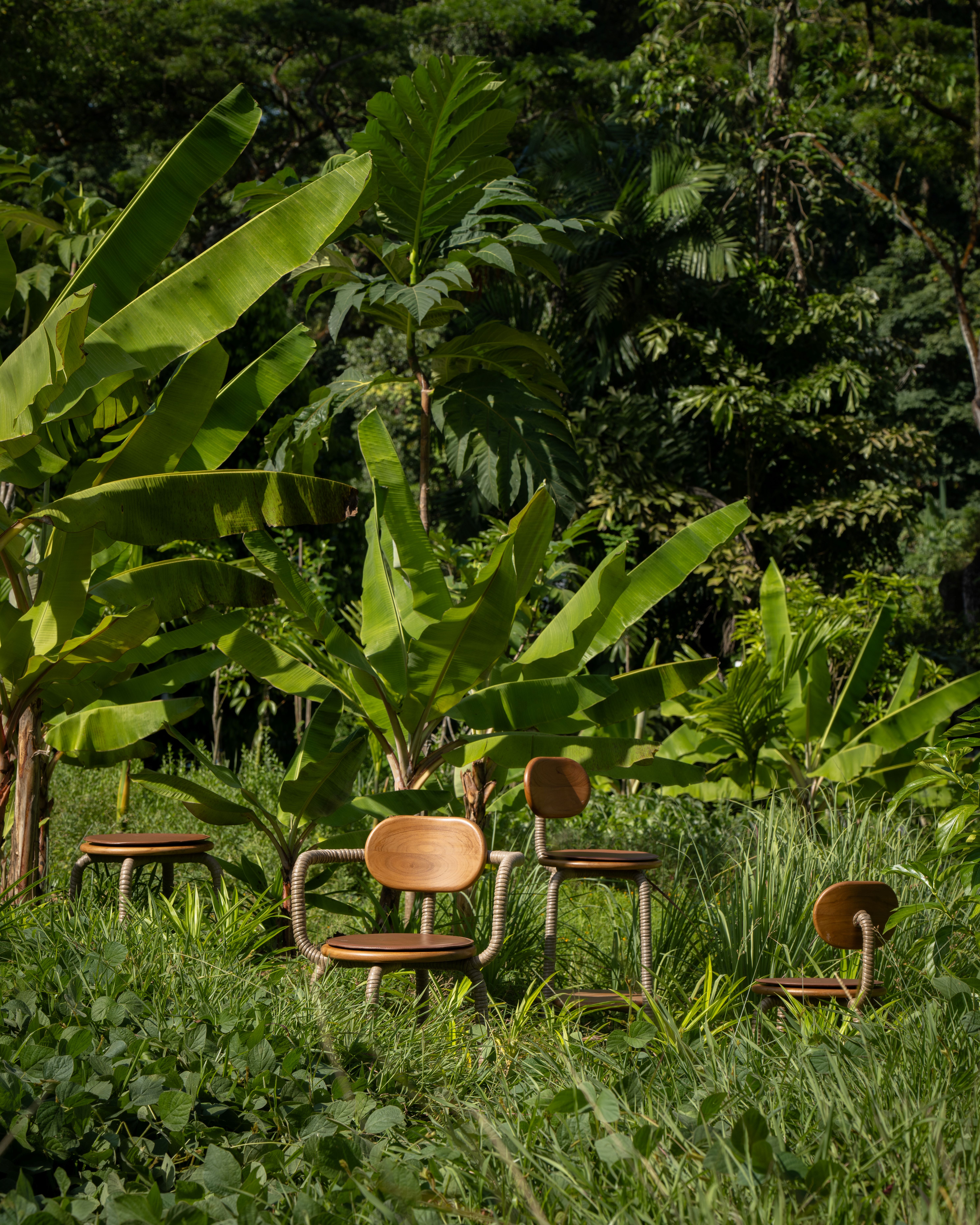 A series of wooden chairs surrounded by nature