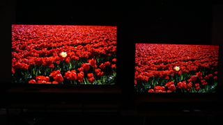 LG G3 and LG B3 with field of red flowers on screen