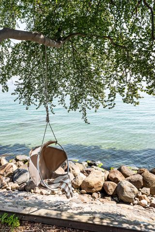 hanging chair suspended from a tree by the ocean