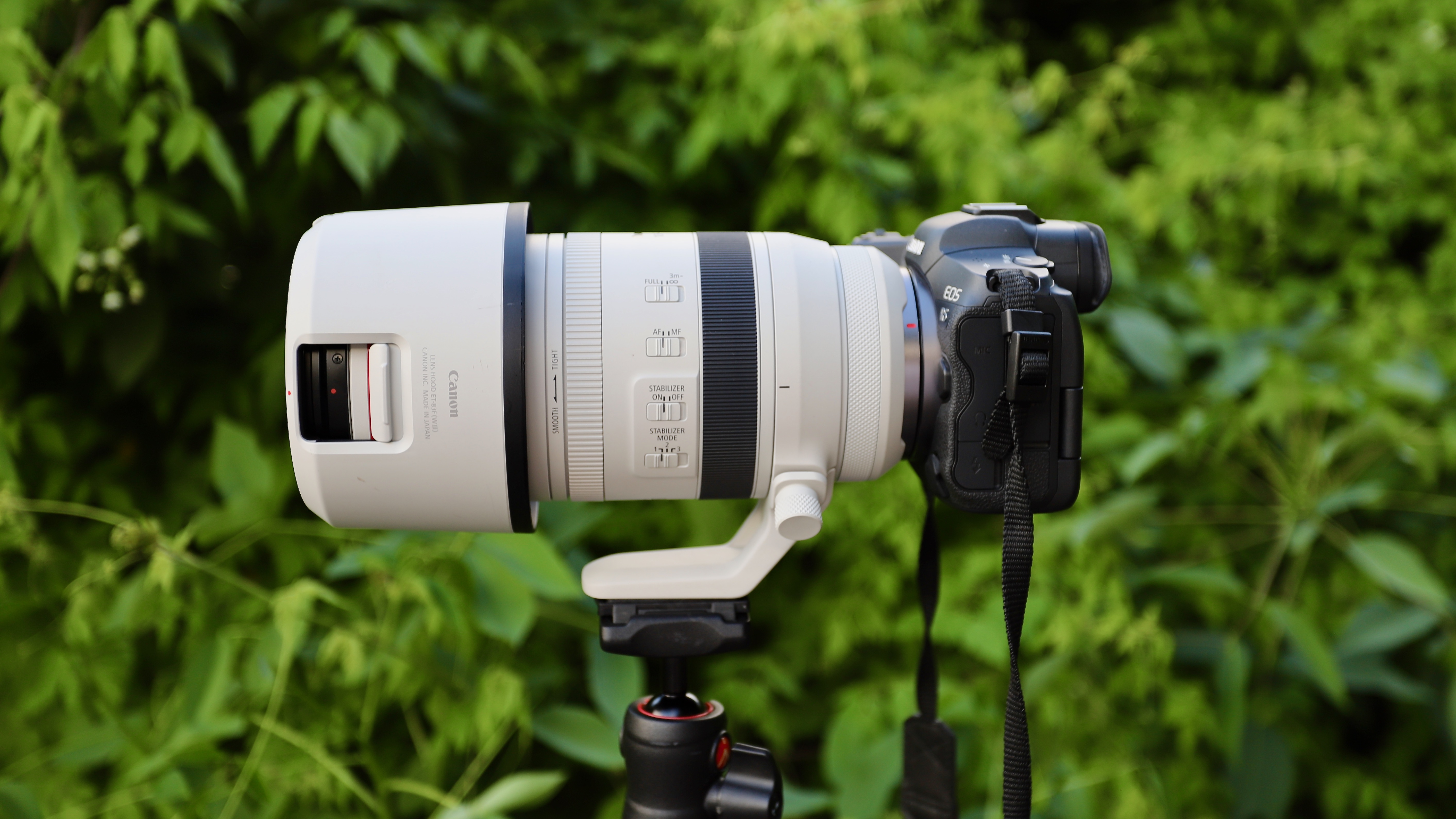 Canon RF 100-500mm f/4.5-7.1L IS USM lensa zoom telefoto