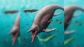 A terrifying ichthyosaur chases its prey in an artist's reconstruction.