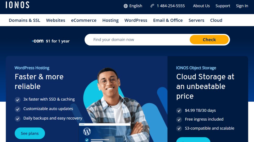 Website screenshot of IONOS (August, 2025)