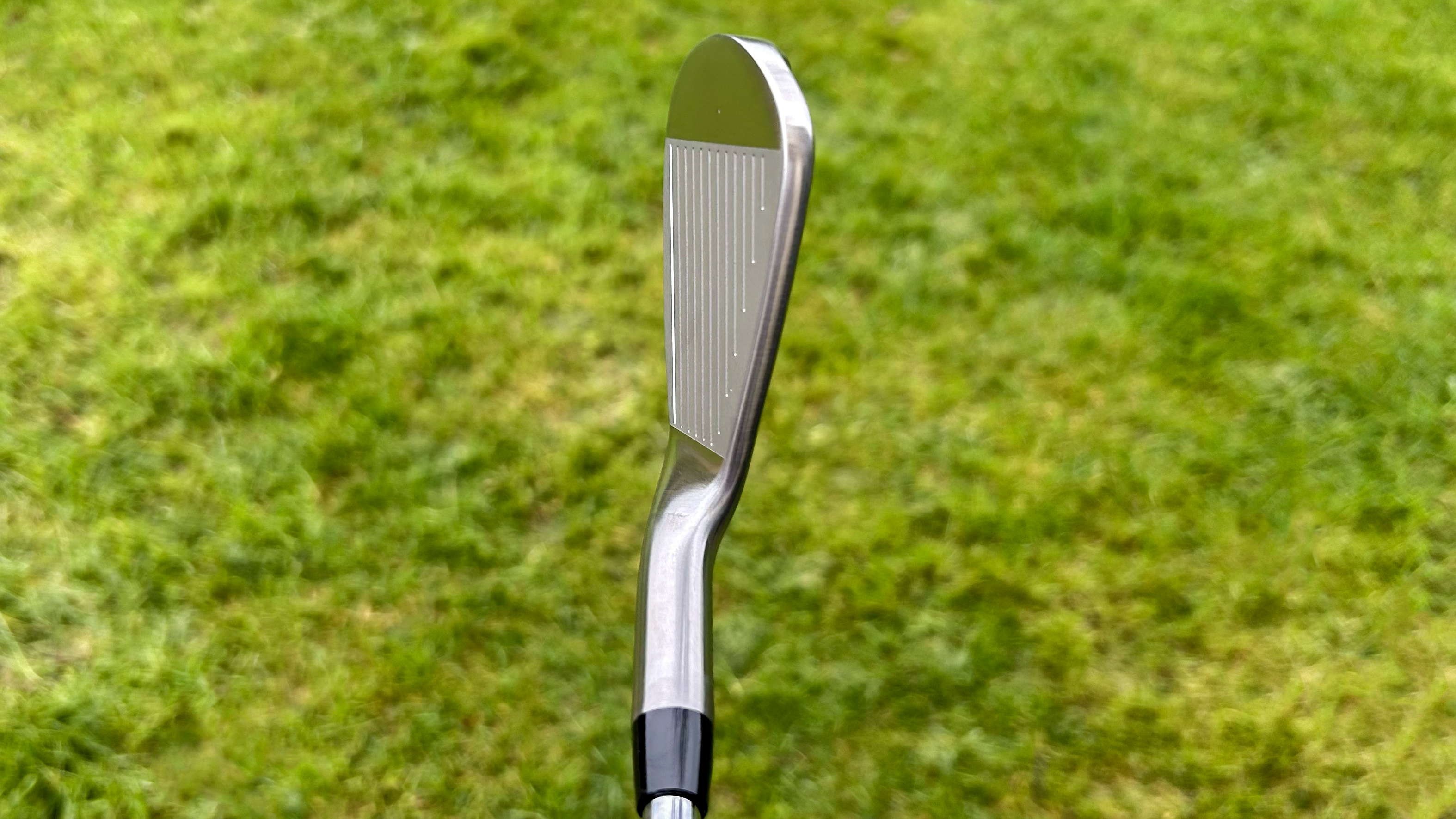 Photo of the Takomo 101 MKII Iron