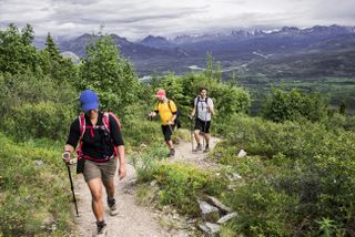 A woman and two men use hiking sticks while walking on a trail in Denali National Park and Preserve