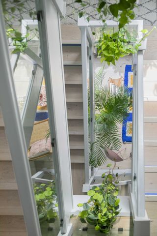 A staircase with plants positioned around it