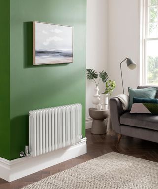 A living room with green wall and white radiator