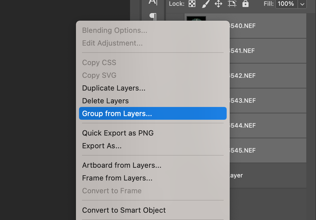 Adobe Photoshop Editing Images