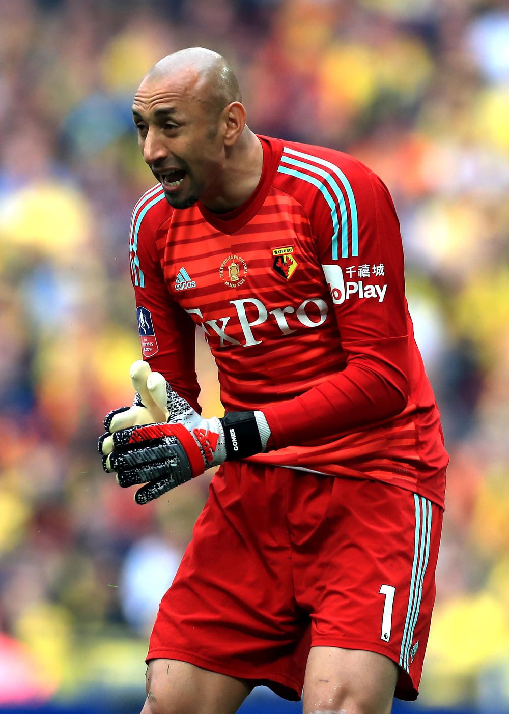 Gomes rethinks retirement plans and signs new Watford deal FourFourTwo