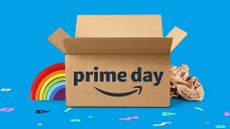 Amazon Prime Day