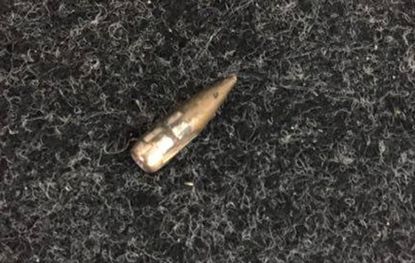 Rio Olympics bullet