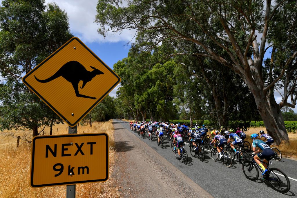 Watch out for the kangaroos at the Women's Tour Down Under