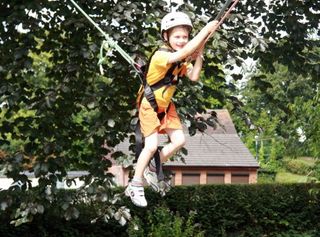 Tree Climbing