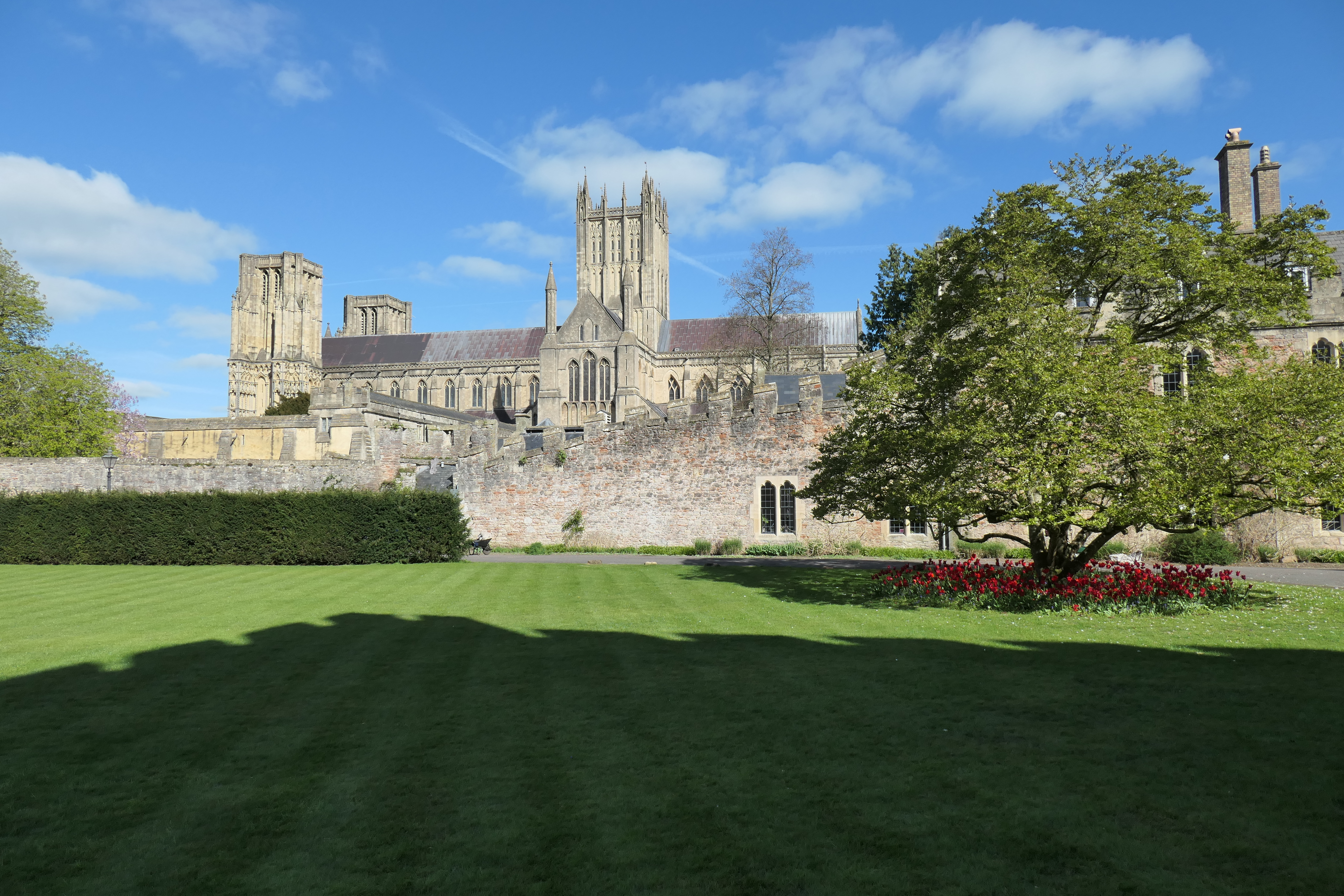 Panasonic Lumix ZS300 / TZ300 sample image