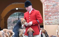 Belvoir-kennels-21.12.1765836_162585032_247131601.jpg